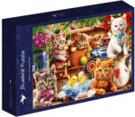 Bluebird Puzzle 3000 db-os puzzle - Kittens in the Potting Shed (70575) (70575)
