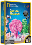 National Geographic - Kit Creativ Gradina De Cristale (NG21025) - carlatoys