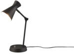 TRIO R50781032 Enzo íróasztali lámpa (R50781032) - lampaorias