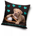  Kutyás Baseball Glove párnahuzat 40x40 cm (CBX195002DOG) - oliviashop