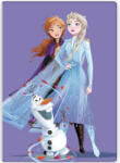  Disney Jégvarázs Purple polár takaró 100x140cm (BRM014183) - oliviashop
