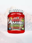 Amix Nutrition - Amino Hydro 32 250/550 taletta (1234878787)
