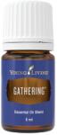 Young Living Ulei esential amestec Gathering 5 ML