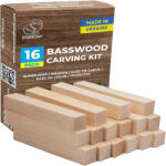 BeaverCraft Set de blocuri din lemn pentru sculptura BeaverCraft BW16, 16 piese (BVRCBW16)