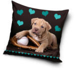 Carbotex Kutyás párnahuzat 40x40 cm (CBX195002DOG) - kidsfashion