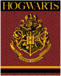 E plus M Harry Potter Crest polár takaró 120x150cm (EMM5248361)