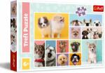 Trefl Kutyabarátság 160 db-os (15412)
