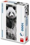 Dino PANDA IN THE GRASS 1000 Puzzle panoramic NOU (545441) Puzzle