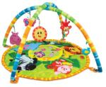 WinFun Centru de activitati bebelusi Saltea cu arcade Winfun 0827 Animalele Junglei