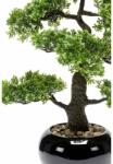 Emerald zöld mini fikusz bonsai műnövény 47 cm (414506)