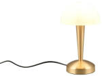 TRIO R59561108 Canaria asztali lámpa (R59561108) - kecskemetilampa