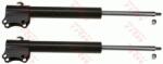 TRW amortizor TRW TWIN JGM429T (JGM429T)