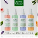 Mario Badescu The Facial Spray Collection lotiune pentru fata (set cadou)