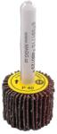  Csapos lamellás csiszolókorong 25x20x6mm KORUND 100 020016 (020016)
