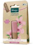Kneipp Mandulavirág ajakápoló - 4, 7g - vitaminbolt