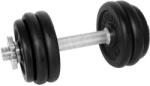 Dhs Fitness Gantera 15 kg set 6 discuri pt o mana (529FCIN153)