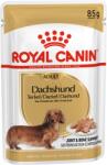 Royal Canin Dachshund Adult 85g - Tacskó felnőtt kutya nedves táp