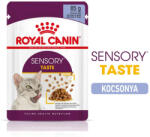 Royal Canin FHN Wet Sensory Taste Gravy 12x85g - szószos nedves táp felnőtt macskák részére