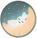 Klausen Tender Klausen-KL151022 mennyezeti lámpa (KL151022)