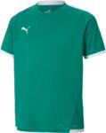 PUMA Bluza Puma teamLIGA Jersey Jr 70492505 Marime 176 (70492505)