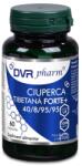 DVR Pharm Ciuperca Tibetana Forte+ 60 capsule DVR Pharm - roveli