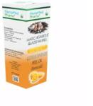 HempMed Pharma Ulei ozonat din portocala Magic Agaricus Blazei Murill, 10 ml, Hempmed Pharma