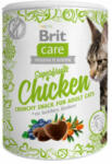 Brit Care Cat Snack Superfruits chicken 100g - dogshop