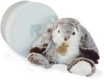 Histoire d'Ours Iepuraș de pluș Bunny Marius Histoire d’ Ours gri 20 cm în ambalaj cadou de la 0 luni (HO2296)