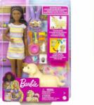 Mattel Barbie papusa bruneta caine si 3 catelusi nou-nascuti HCK76 Papusa Barbie