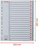 Esselte Registru de plastic Esselte A-Z A4 Maxi (100129)