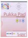 PUKKA PAD Caiet de notițe, A4, cu linii, 50 de foi, PUKKA PAD "Irlen Dyslexia", roz (IRLEN50(ROSE)-30)
