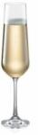 Tescoma GIORGIO Pahar de șampanie 200 ml, 6 buc (695916.00) Pahar