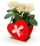 EWA Puzzle 3D, Vaza decorativa HEART, EWA, lemn, 8 piese