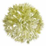  Capete allium cepa artificiale set 24 buc (4045)