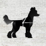  Bakelit falióra - Kínai meztelen kutya, Bakelit falióra - Kínai meztelen kutya
