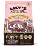 Lily's Kitchen Lilys Kitchen for Dogs Complete Nutrition Puppy Chicken and Scottish Salmon 1 kg