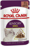 Royal Canin Sensory Smell Gravy - petguru - 590 Ft