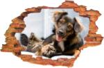 iPrint Sticker "Wall Crack" Dog Cat 8 - 120 x 80 cm (AVX-CRACK-148)