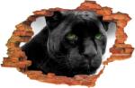iPrint Sticker "Wall Crack" Puma 2 - 120 x 80 cm (AVX-CRACK-383)
