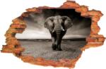 iPrint Sticker "Wall Crack" Elefent 11 - 120 x 80 cm (AVX-CRACK-179)