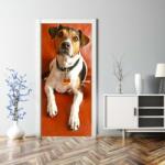 iPrint Sticker Autoadeziv pentru decorare usa, 210 x 90 cm, AVX-STUS-65 (AVX-STUS-65)