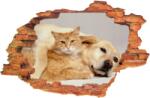 iPrint Sticker "Wall Crack" Dog Cat 9 - 120 x 80 cm (AVX-CRACK-149)