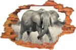 iPrint Sticker "Wall Crack" Elefent 8 - 120 x 80 cm (AVX-CRACK-176)