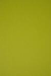 ArjoWiggins Hârtie decorativă colorată ecologică Keaykolour 300g Kiwi verde 70x100 R100 1 buc