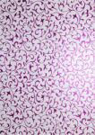  Hârtie decorativă metalizată alb - dantelă roz 56x76 1 buc