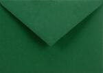 Netuno Plicuri decorative colorate C6 11, 4x16, 2 NK Sirio Color Foglia verde închis 115g