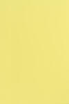  Hârtie decorativă colorată simplă Popset Dry toner 240g Citrus Yellow galben buc. 10A4