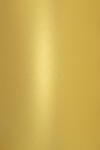  Hârtie decorativă colorată metalizată Aster Metallic 120g Cherish auriu 72xx100 R250 1 buc