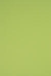  Hârtie decorativă colorată simplă Rainbow 230g R74 verde deshis buc. 10A5