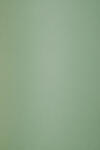 ArjoWiggins Hârtie decorativă colorată ecologică Keaykolour 300g Matcha Tea verde 70x100 R100 1 buc